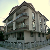 Plants: image 4 0f 5 thumb